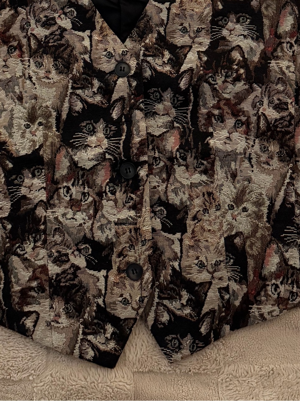 Dressed in LaLaCrazy Cat Lady Jacquard Waistcoat Vest - Picture 2 of 4